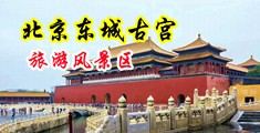 操女人怎么操视频网站中国北京-东城古宫旅游风景区